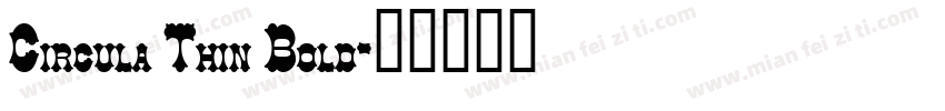 Circula Thin Bold字体转换